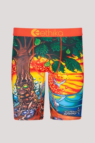 Ethika Mens Staple Boxer Brief  Ill Tiger (YOR, Small) at  Men's  Clothing store